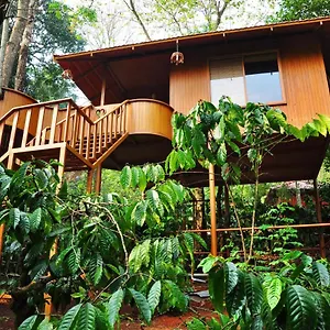 Planet Plantation Resorts, Wayanad, Kerala Kalpetta